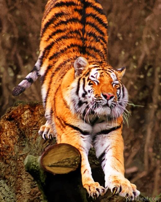 Tiger In Jungle Painting By Numbers Kits