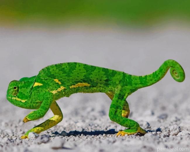 Green Gecko Lizard Painting By Numbers Kits