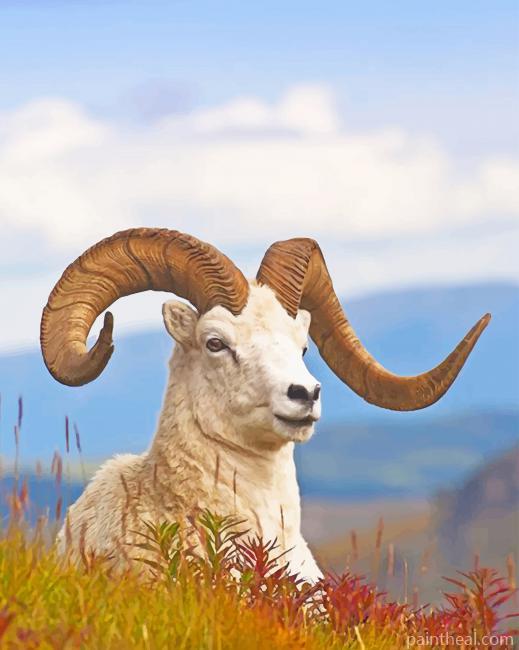 Big Horned Sheep Lying On Grass Painting By Numbers Kits