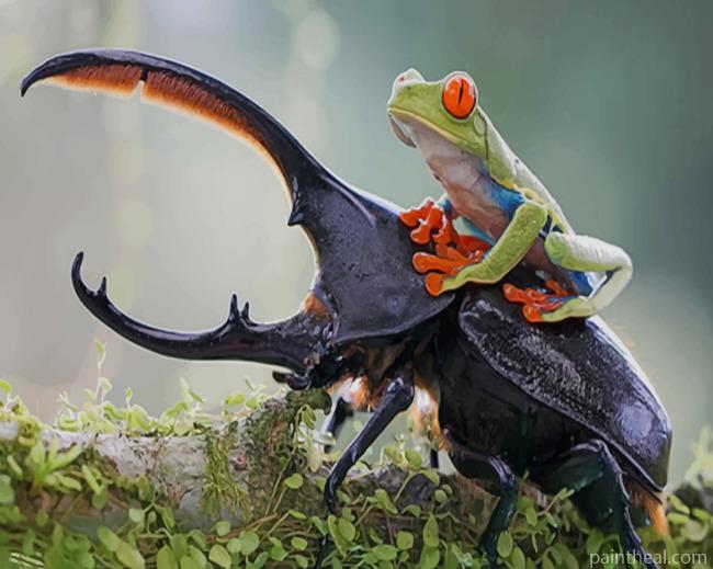 Frog On Top Of Elephant Stag Beetle Painting By Numbers Kits