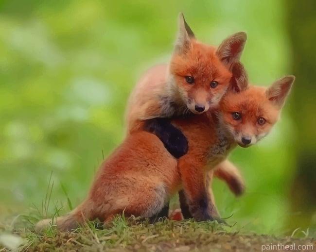 Red Fox Couple Painting By Numbers Kits