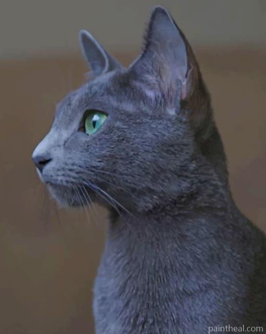 Grey Cat Pet Painting By Numbers Kits