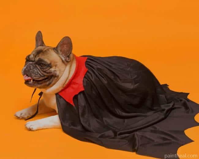 French Bulldog In Vampire Cape Painting By Numbers Kits