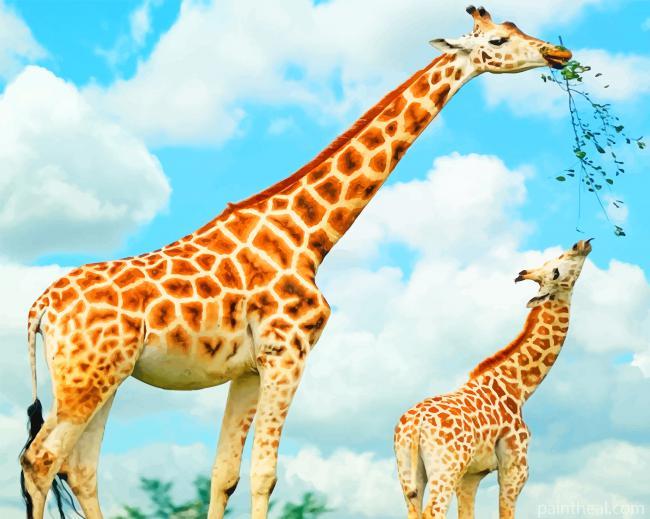 Giraffe And Calf Painting By Numbers Kits
