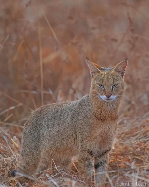 Bobcat Animal Painting By Numbers Kits