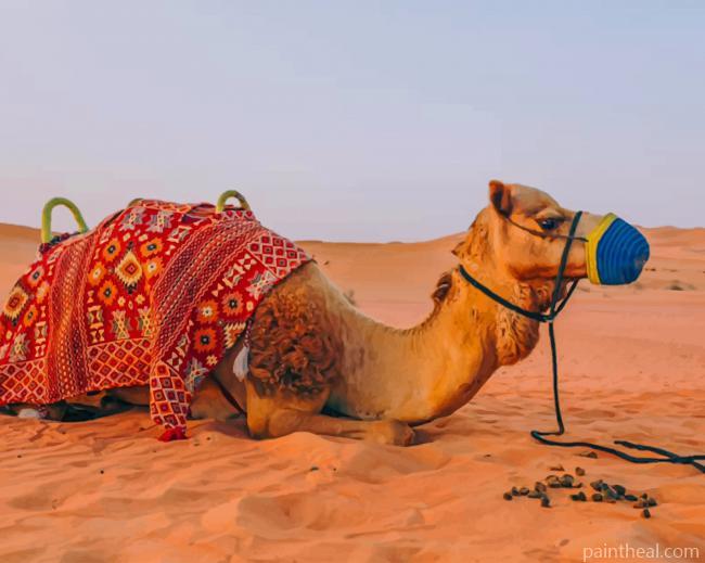 Camel In Sahara Desert Painting By Numbers Kits