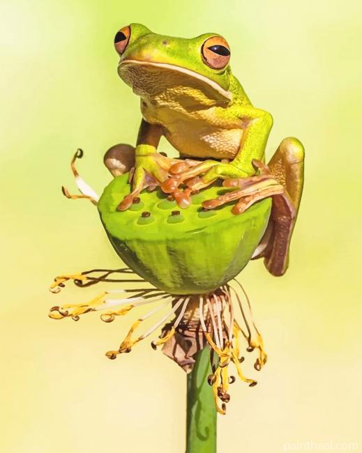 Squirrel Tree Frog Painting By Numbers Kits