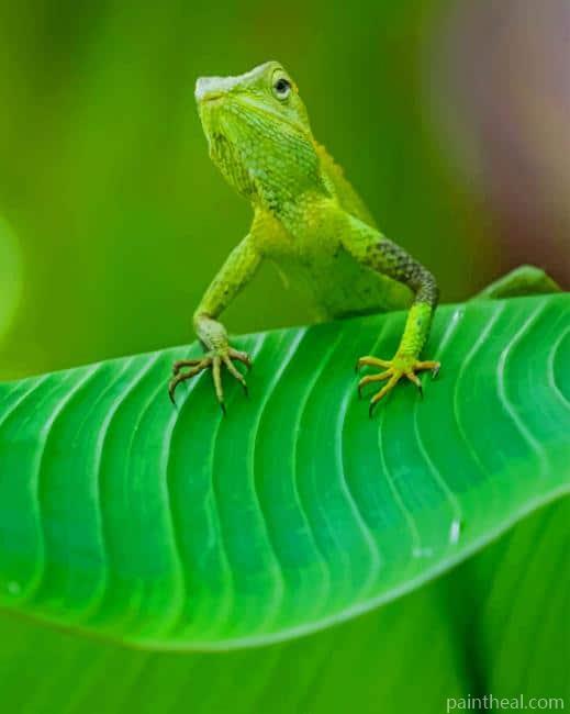 Green Maned Forest Lizard Painting By Numbers Kits