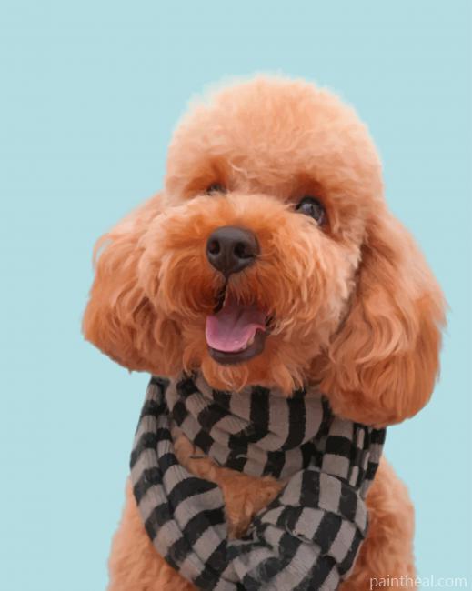 Brown Bichon Dog Painting By Numbers Kits
