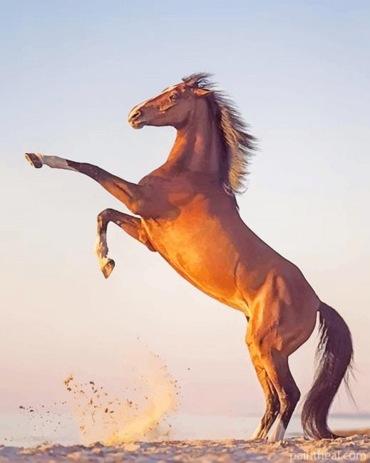 Rearing Brown Horse Painting By Numbers Kits