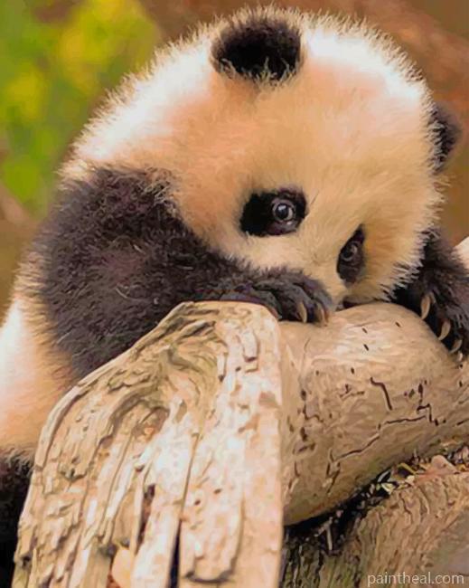 Cute Baby Panda Painting By Numbers Kits