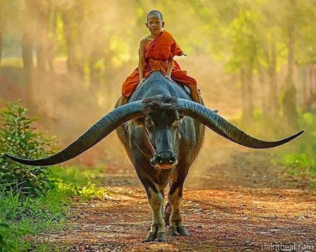 Boy Monk Riding Buffalo Painting By Numbers Kits