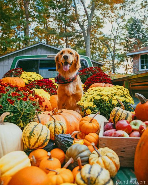 Dog Halloween Pumpkin Painting By Numbers Kits