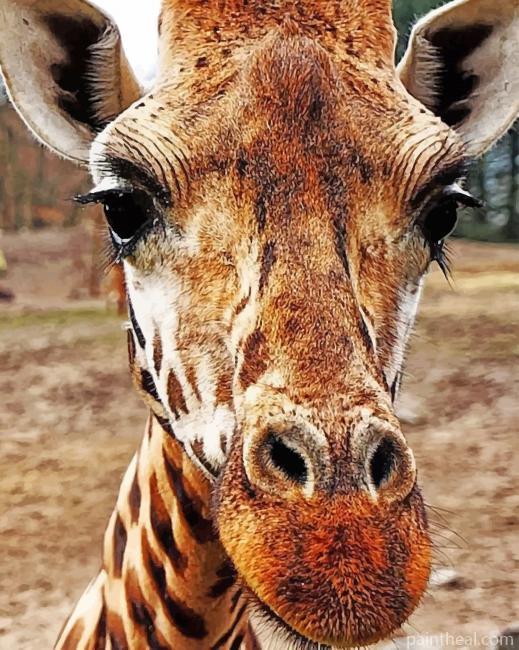 South Africa Giraffe Painting By Numbers Kits