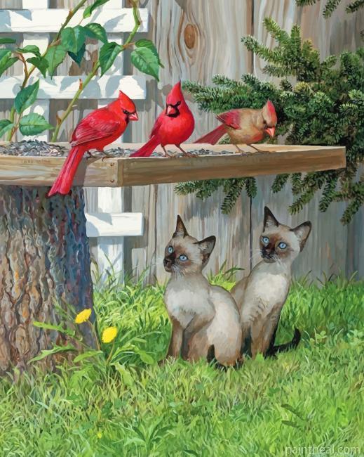 Kittens And Red Birds Painting By Numbers Kits