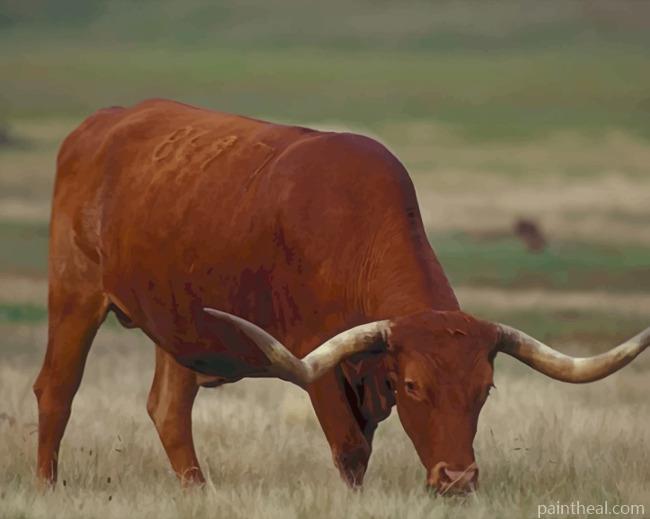 Brown Buffalo Longhorn Painting By Numbers Kits
