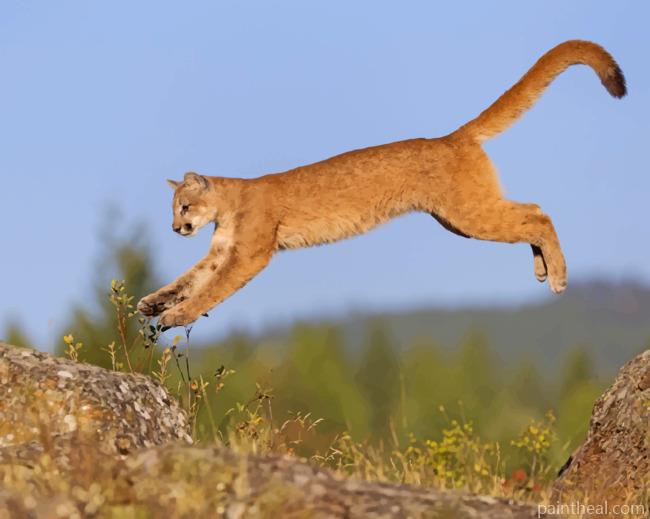 Brown Cougar Animal Jumping Painting By Numbers Kits