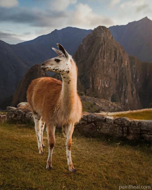 Llama In The Mountains Painting By Numbers Kits