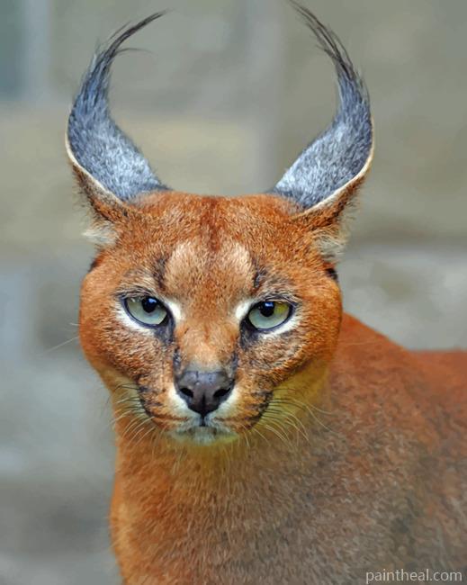 Egyptian Lynx Painting By Numbers Kits