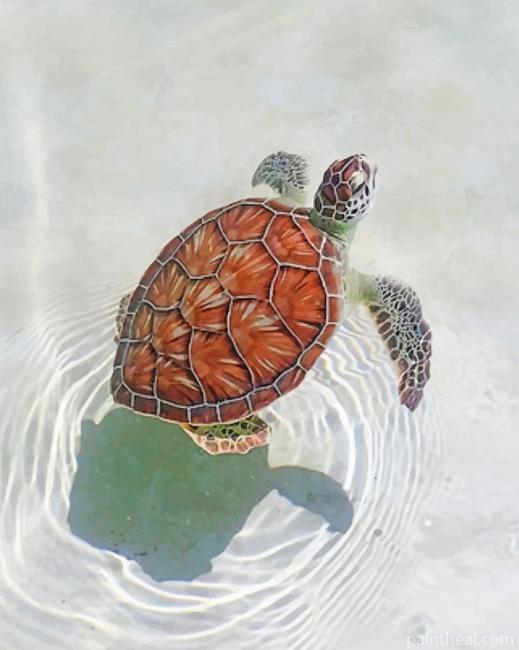 Aesthetic Sea Turtle Painting By Numbers Kits