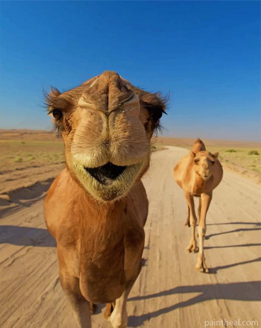 Camels In Desert Painting By Numbers Kits