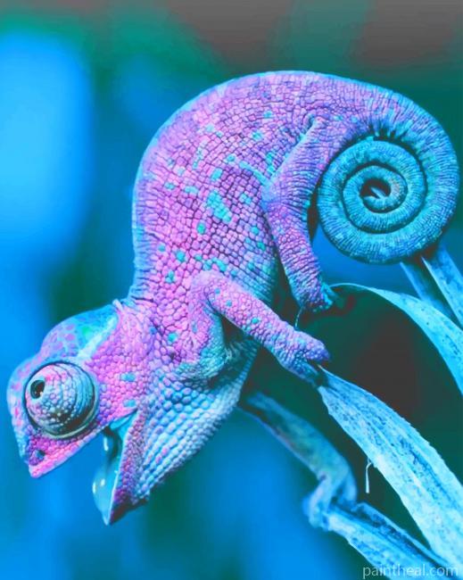 Pink And Blue Chameleon Painting By Numbers Kits