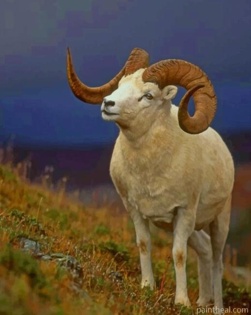 Bighorn Sheep Painting By Numbers Kits