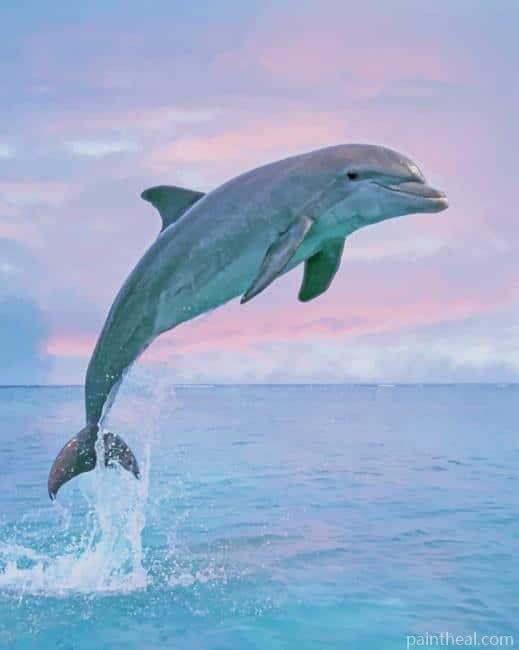 Dolphin Coming Out Of Water Painting By Numbers Kits