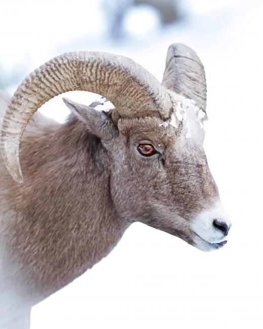 Brown Sheep Painting By Numbers Kits