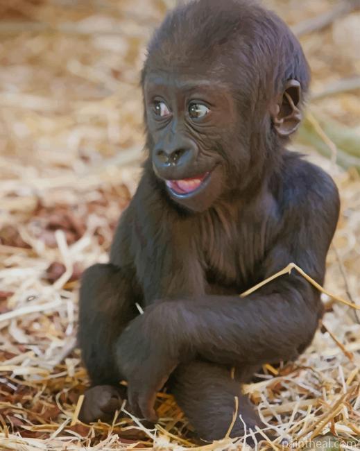 Baby Gorilla Painting By Numbers Kits