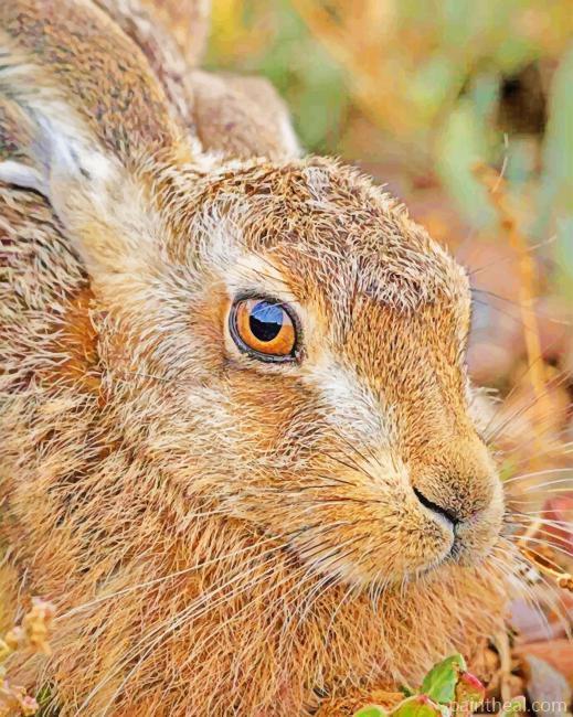 Domestic Rabbit Painting By Numbers Kits