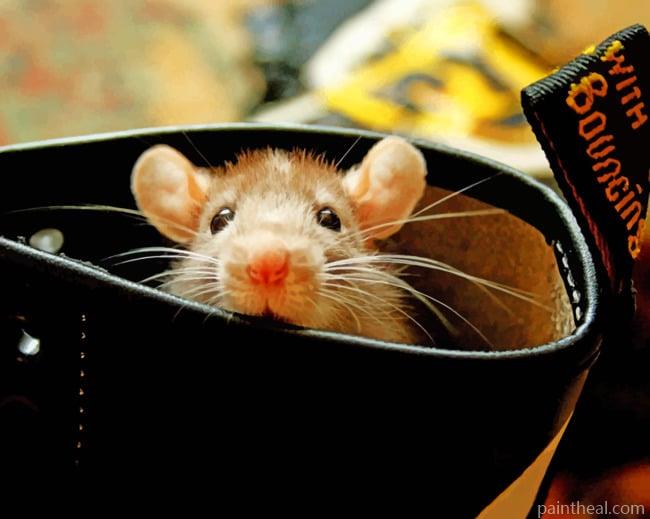 Mouse Rat Painting By Numbers Kits