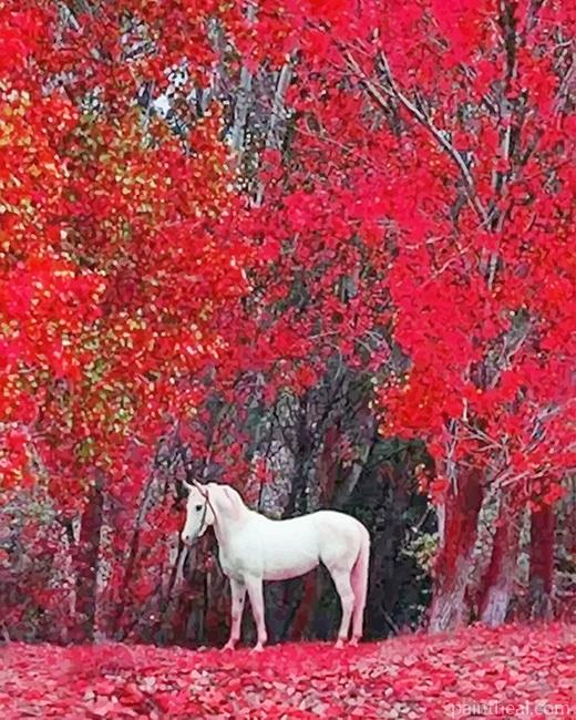 White Horse Red Nature Painting By Numbers Kits