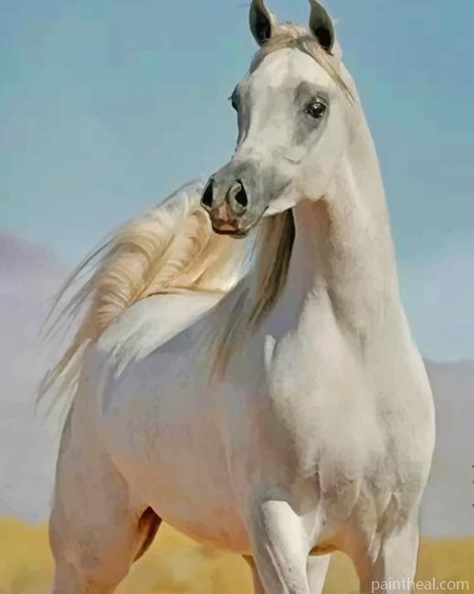 White Stallion Horse Painting By Numbers Kits