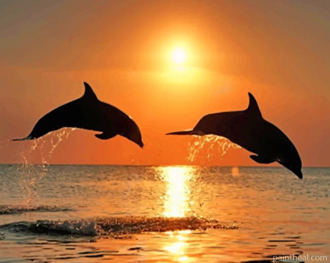 Dolphins At Sunset Painting By Numbers Kits