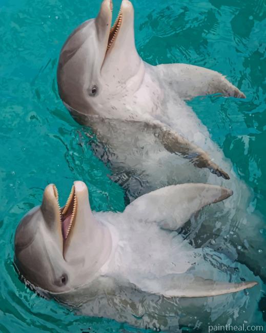 Dolphins In Water Painting By Numbers Kits