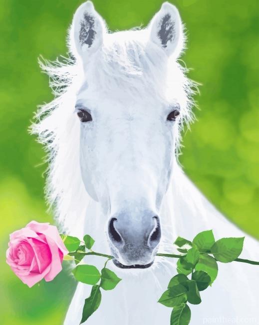 White Horse Holding Pink Rose Painting By Numbers Kits