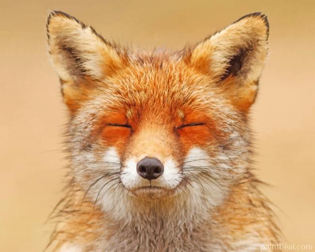 Renard Fox Painting By Numbers Kits