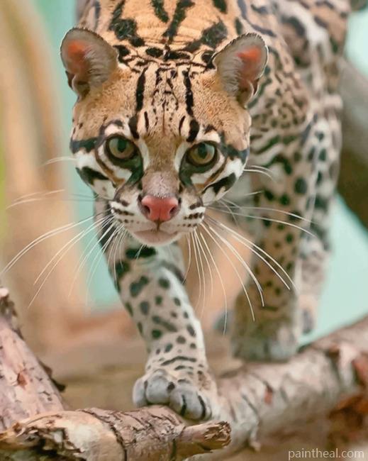 Ocelot Cat Painting By Numbers Kits