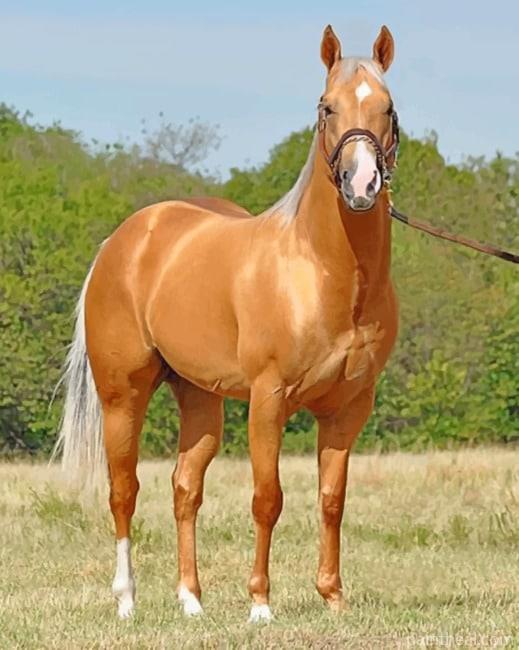 Golden Stallion Horse Painting By Numbers Kits
