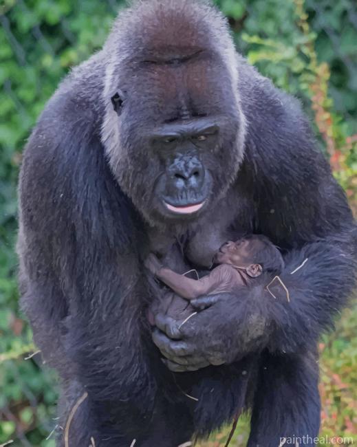 Gorilla And Her Baby In Zoo Painting By Numbers Kits