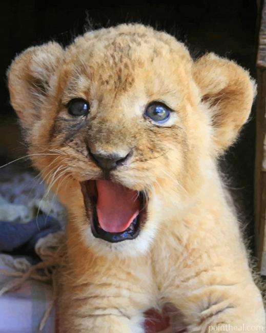 Lioness Cub Painting By Numbers Kits