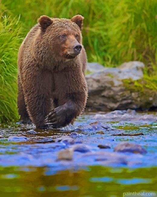 Grizzly Bear Painting By Numbers Kits