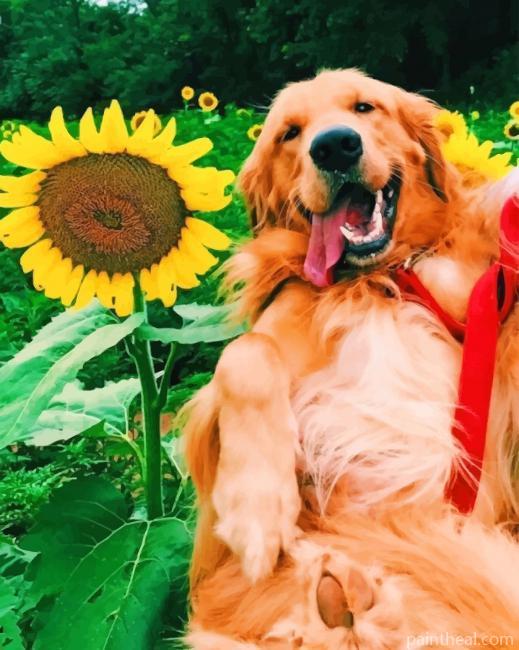 Dog In Sunflowers Field Painting By Numbers Kits