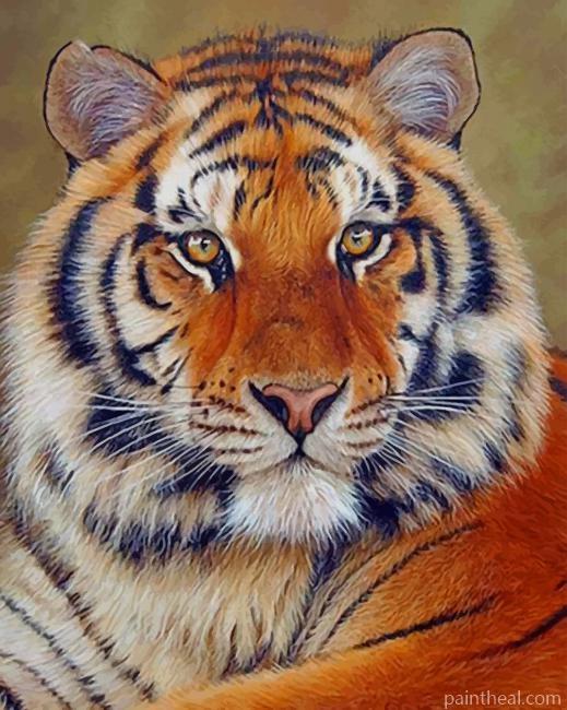 Wild Bengal Tiger Painting By Numbers Kits