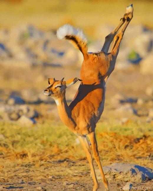 Impala Jumping Painting By Numbers Kits