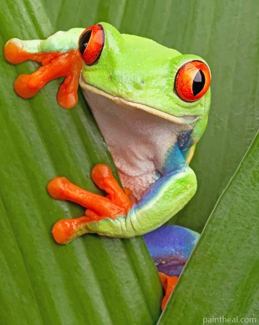 Green Tree Frog With Red Eyes Painting By Numbers Kits