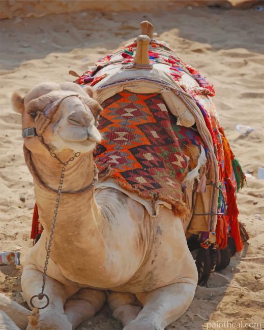 Arabian Camel Painting By Numbers Kits