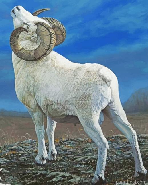 Big Horned Sheep Painting By Numbers Kits