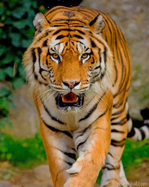 Big Cat Tiger Animal Painting By Numbers Kits